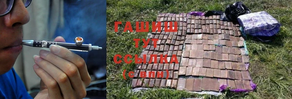 гидра Бикин