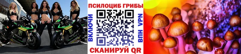 Псилоцибиновые грибы GOLDEN TEACHER  Купить  Тайга 